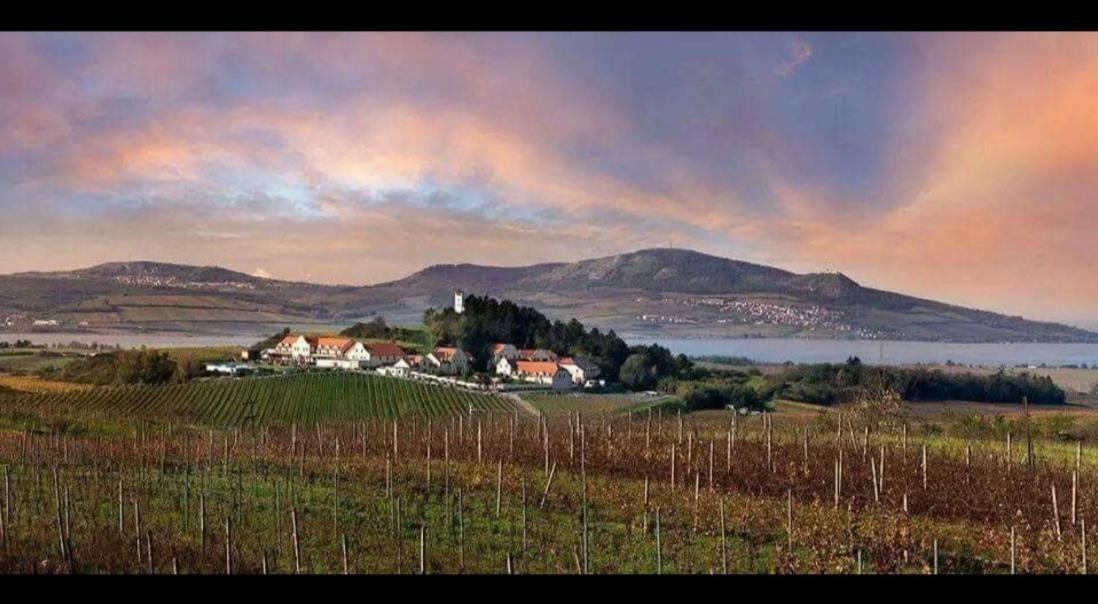 Zaječí Ubytovani U Leose מראה חיצוני תמונה